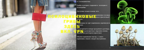 трава Волоколамск